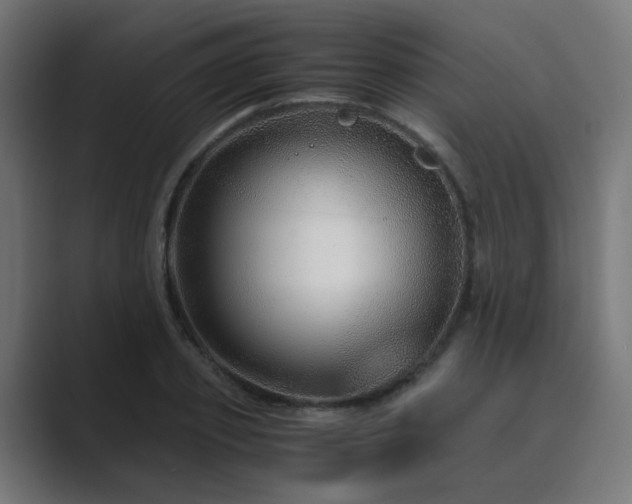 X0000089950933200706291209