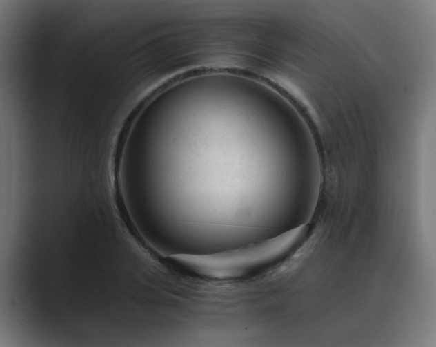X0000089950935200706291209