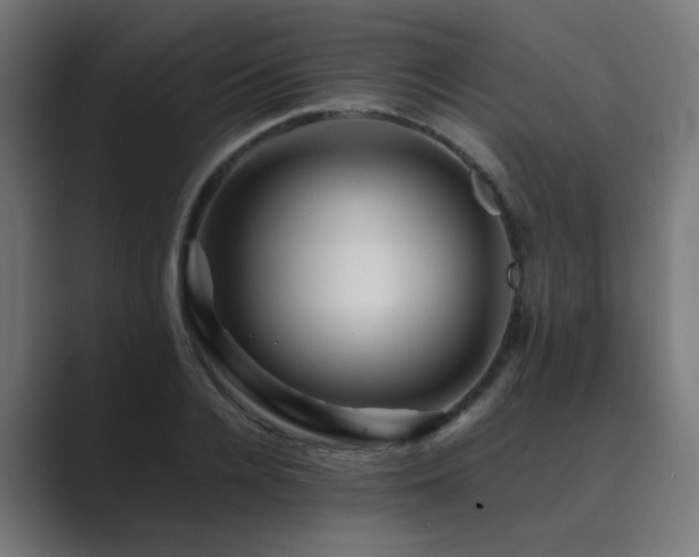 X0000089950936200706291209