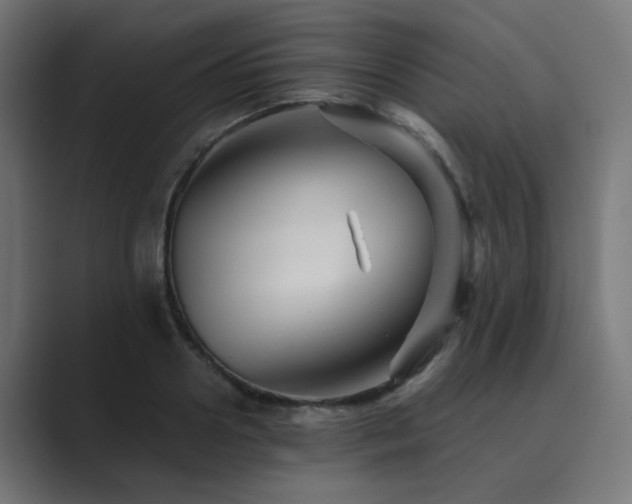 X0000089950938200706291209