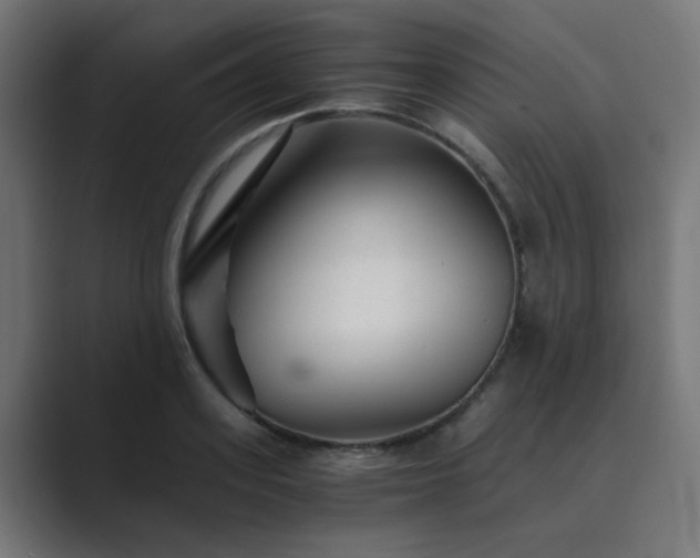 X0000089950939200706291209