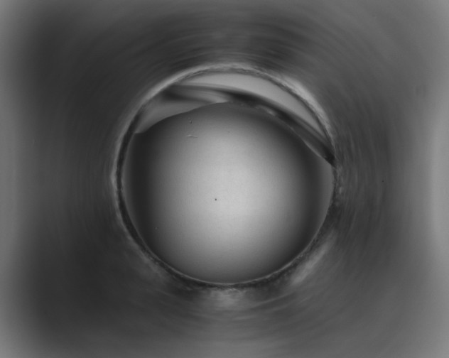X0000089950943200706291209