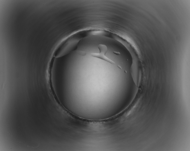 X0000089950944200706291209