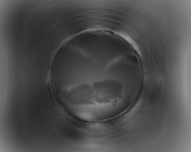 X0000089950945200706291209