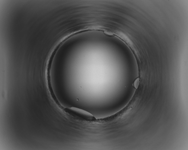X0000089950947200706291209