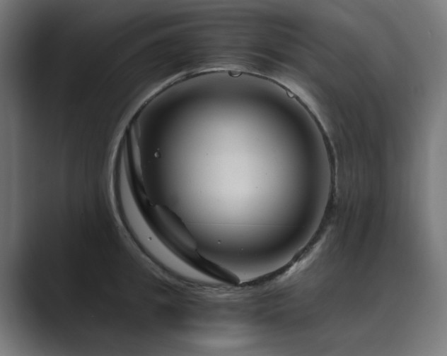 X0000089950949200706291209