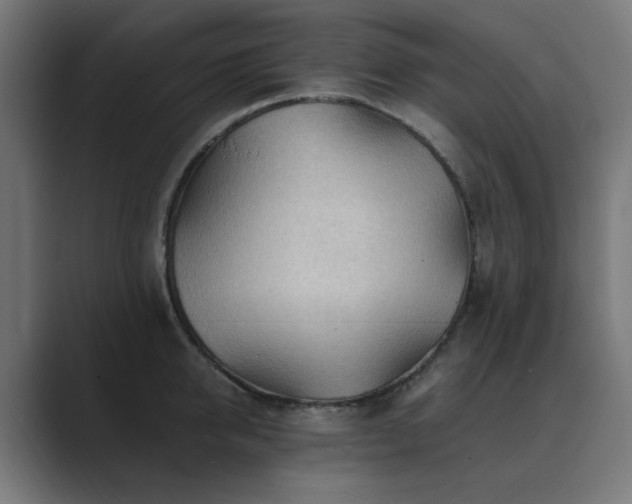 X0000089950950200706291209