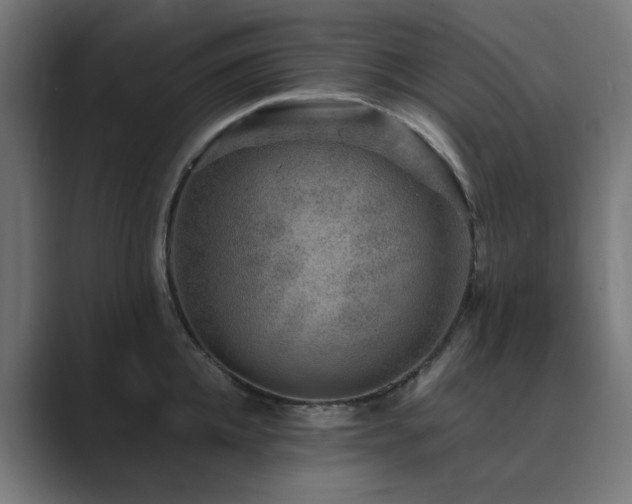 X0000089950952200706291209