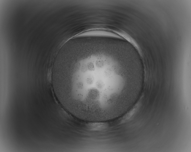 X0000089950953200706291209
