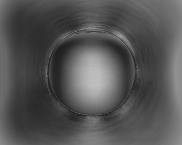 X0000089950954200706291209