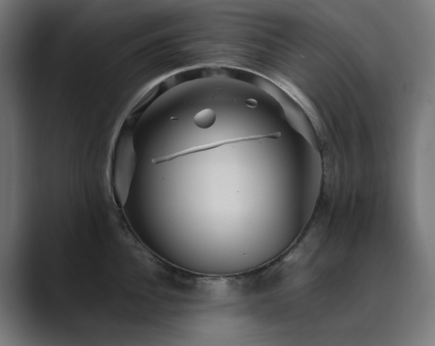 X0000089950956200706291209