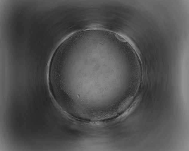 X0000089950957200706291209