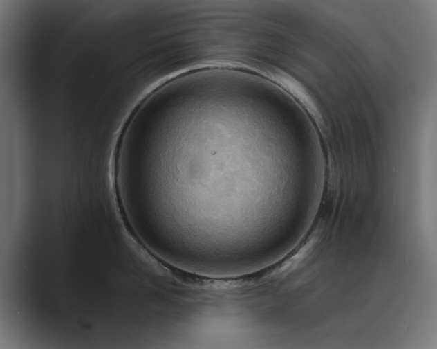 X0000089950958200706291209