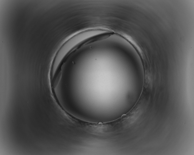 X0000089950959200706291209