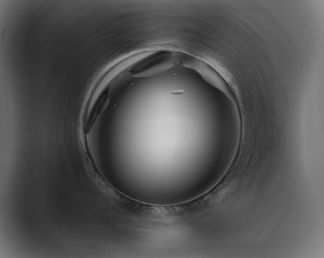 X0000089950960200706291209