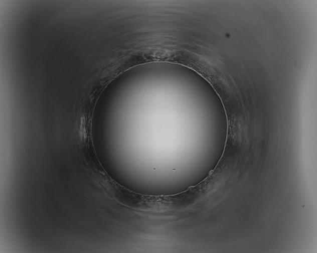 X0000089950962200706291209
