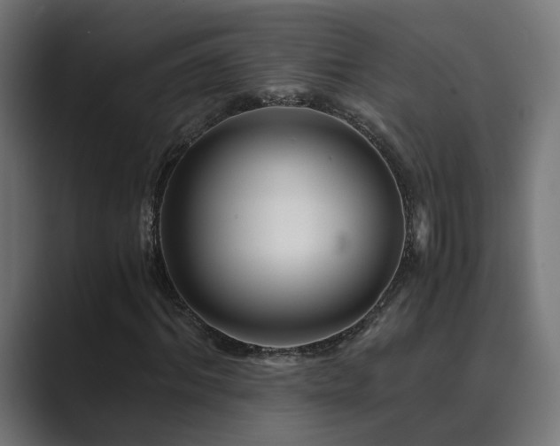 X0000089950964200706291209