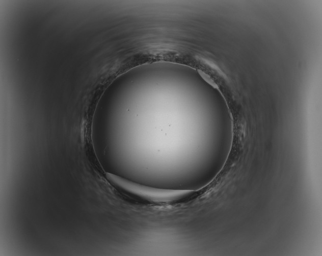 X0000089950965200706291209