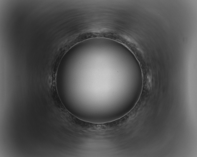 X0000089950966200706291209
