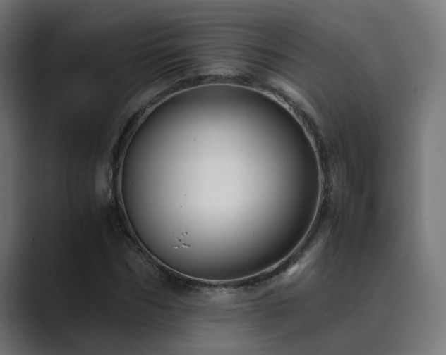 X0000089950970200706291209