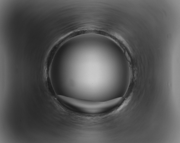 X0000089950973200706291208