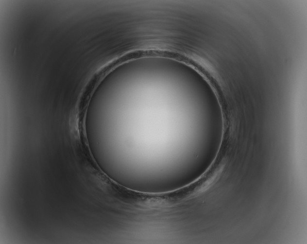 X0000089950974200706291208