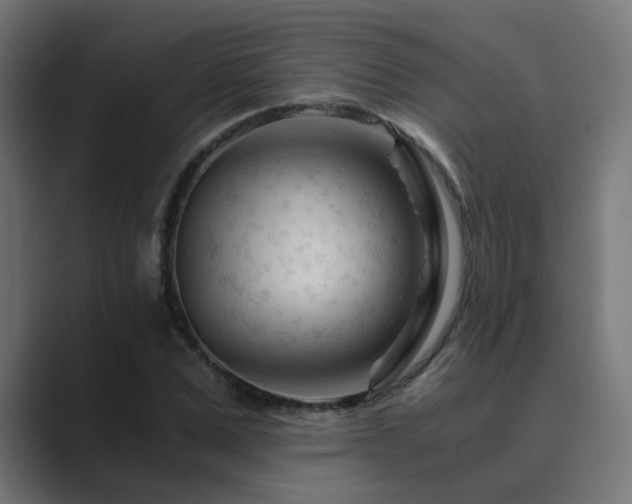 X0000089950975200706291208