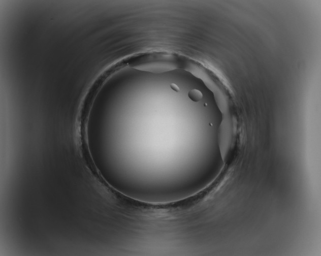 X0000089950976200706291208