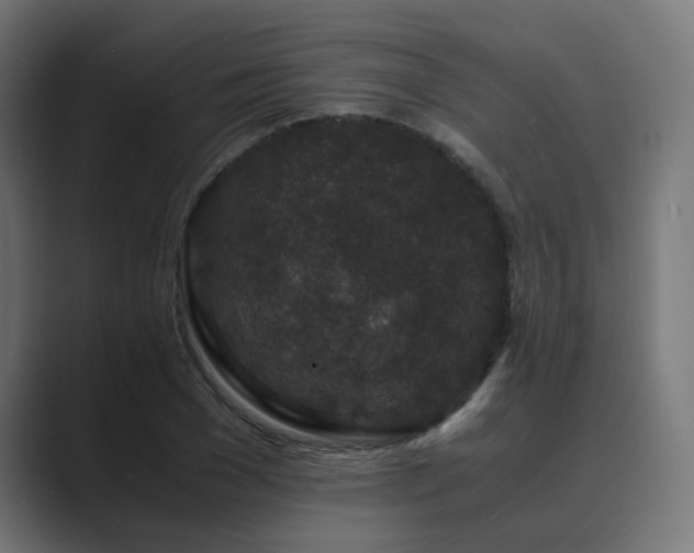 X0000089950977200706291208