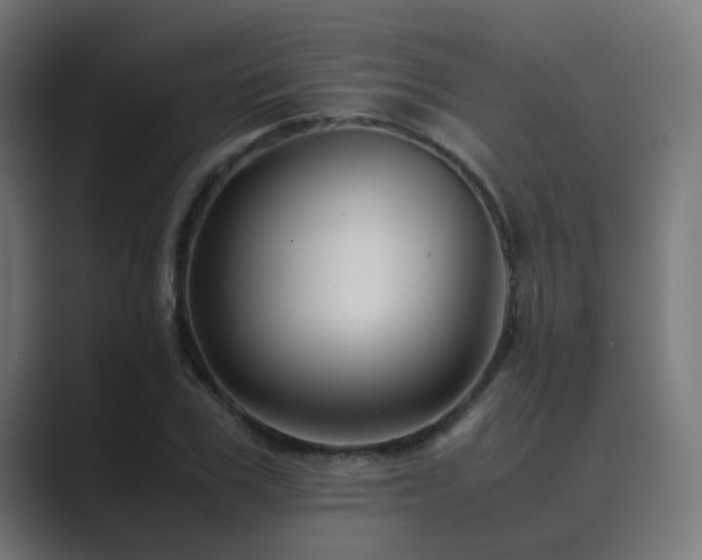X0000089950979200706291208