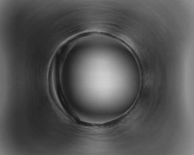 X0000089950980200706291208