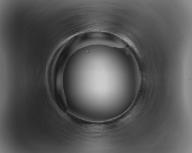 X0000089950981200706291208