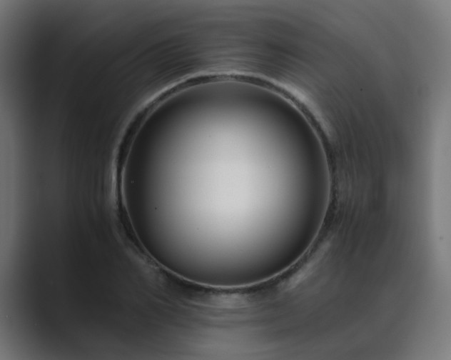 X0000089950982200706291208