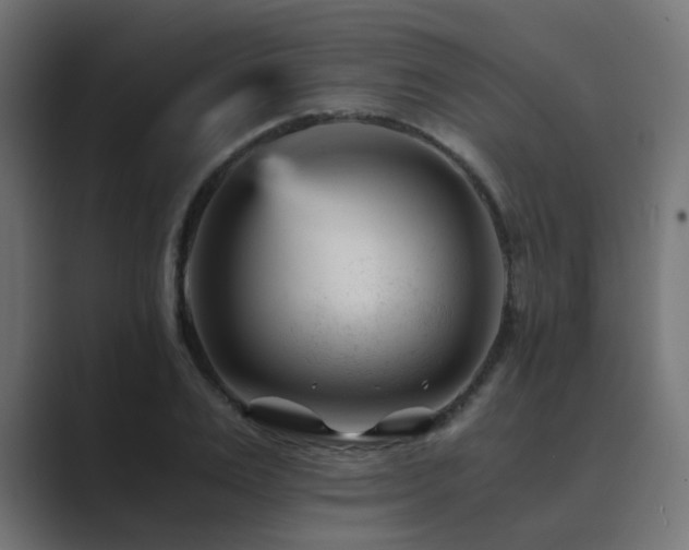 X0000089950983200706291208