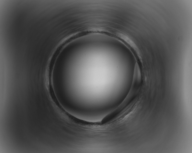 X0000089950984200706291208