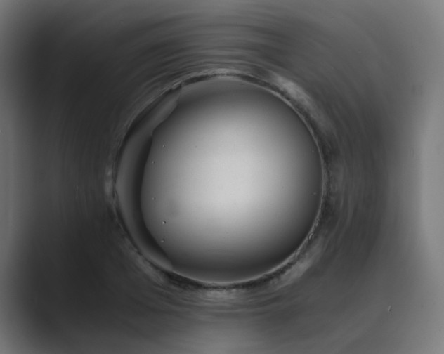 X0000089950985200706291208