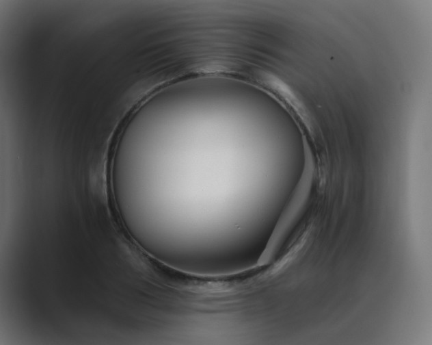 X0000089950986200706291208