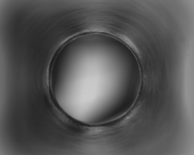 X0000089950988200706291208