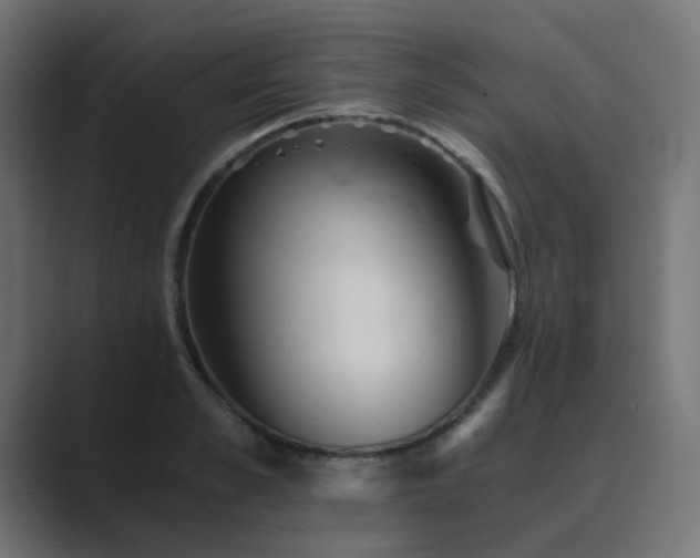 X0000089950989200706291208