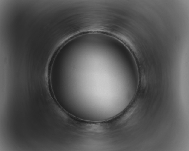 X0000089950990200706291208