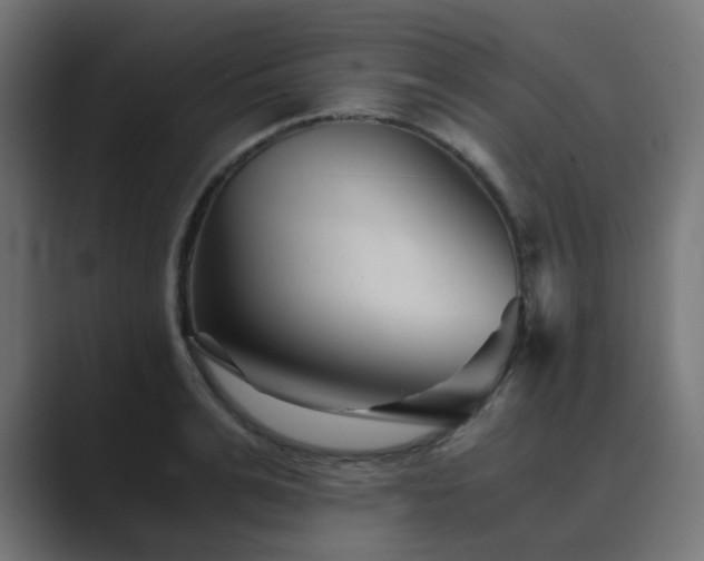 X0000089950991200706291208