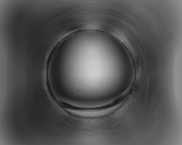 X0000089950992200706291208