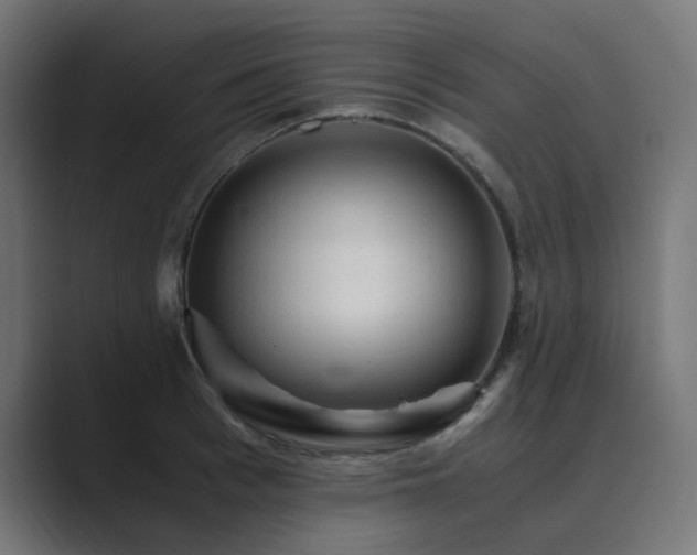 X0000089950993200706291208