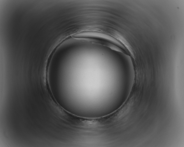 X0000089950994200706291208