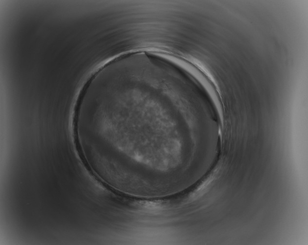 X0000089950995200706291208