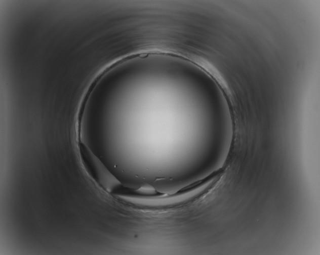 X0000089950996200706291208