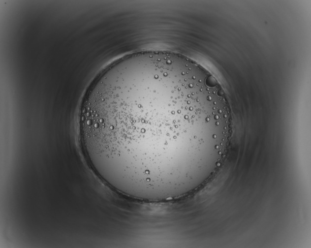 X0000089951000200706291208