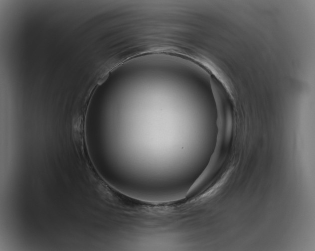 X0000089951001200706291208