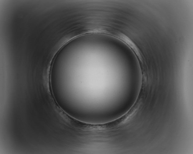 X0000089951002200706291208