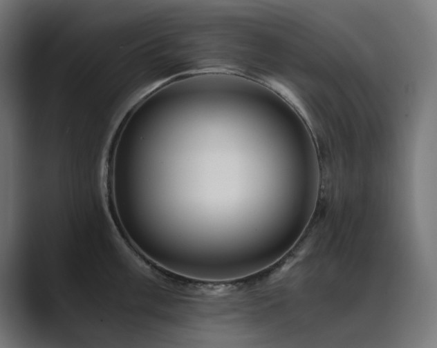 X0000089951003200706291208